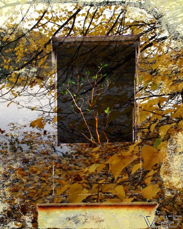 photographie